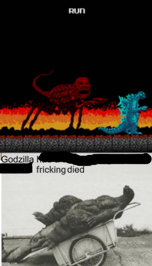 godzilla-had-a-stroke-trying-to-read-this-and-fricking-died-memes-gifs-imgflip