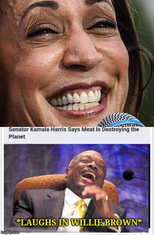 image tagged in kamala harris | made w/ Imgflip meme maker