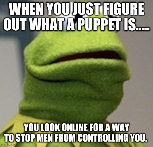 Kermit The Frog | WHEN YOU JUST FIGURE OUT WHAT A PUPPET IS..... YOU LOOK ONLINE FOR A WAY TO STOP MEN FROM CONTROLLING YOU. | image tagged in kermit the frog | made w/ Imgflip meme maker