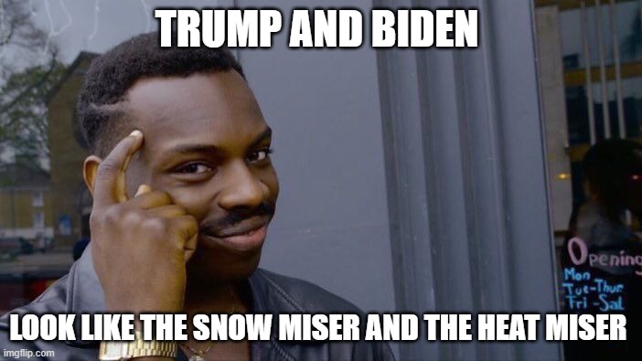 Roll Safe Think About It | TRUMP AND BIDEN; LOOK LIKE THE SNOW MISER AND THE HEAT MISER | image tagged in memes,roll safe think about it | made w/ Imgflip meme maker