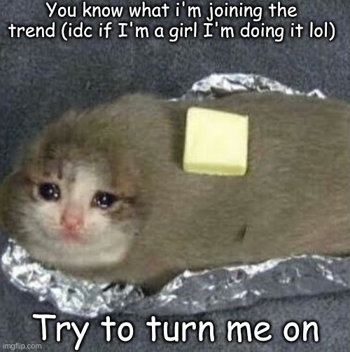 Sad potato cat | You know what i'm joining the trend (idc if I'm a girl I'm doing it lol); Try to turn me on | made w/ Imgflip meme maker