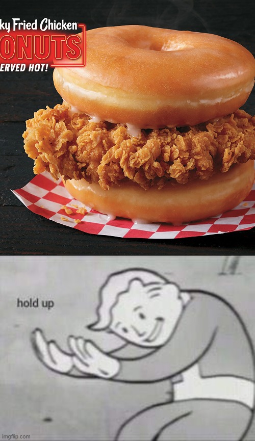 looks good | image tagged in fallout hold up | made w/ Imgflip meme maker