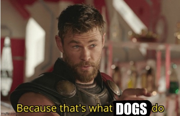 That’s what heroes do | DOGS | image tagged in that s what heroes do | made w/ Imgflip meme maker