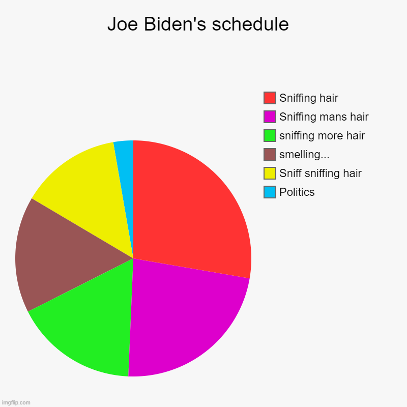 Joe Biden's schedule in a nutshell | Joe Biden's schedule  | Politics, Sniff sniffing hair, smelling..., sniffing more hair, Sniffing mans hair, Sniffing hair | image tagged in charts,pie charts,joe biden,creepy,hair,sniff | made w/ Imgflip chart maker