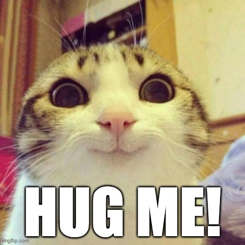 Smiling Cat |  HUG ME! | image tagged in memes,smiling cat,hug | made w/ Imgflip meme maker