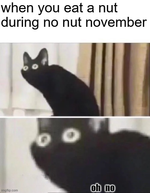 Oh No Black Cat | when you eat a nut during no nut november; oh   no | image tagged in oh no black cat | made w/ Imgflip meme maker