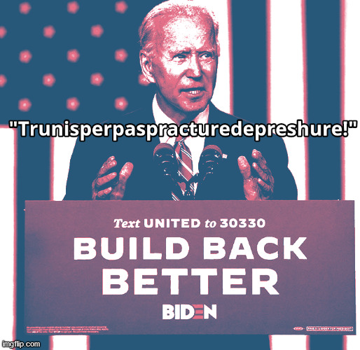 BIDEN 2020 | image tagged in biden 2020,trump,election 2020,joe biden | made w/ Imgflip meme maker