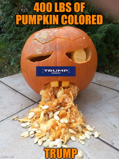 Halloween Pumkin Throwing Up | 400 LBS OF PUMPKIN COLORED TRUMP | image tagged in halloween pumkin throwing up | made w/ Imgflip meme maker