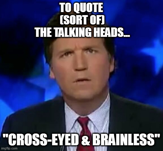 confused Tucker carlson |  TO QUOTE
 (SORT OF)
 THE TALKING HEADS... "CROSS-EYED & BRAINLESS" | image tagged in confused tucker carlson | made w/ Imgflip meme maker