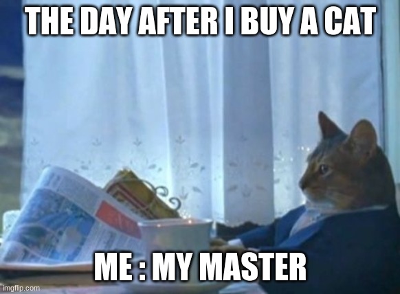 I Should Buy A Boat Cat | THE DAY AFTER I BUY A CAT; ME : MY MASTER | image tagged in memes,i should buy a boat cat | made w/ Imgflip meme maker