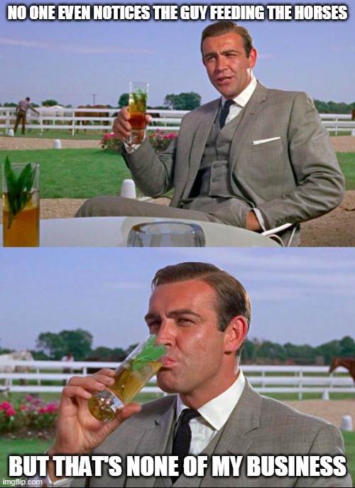 The Legend Lives Through Meme Magic | NO ONE EVEN NOTICES THE GUY FEEDING THE HORSES; BUT THAT'S NONE OF MY BUSINESS | image tagged in sean connery kermit | made w/ Imgflip meme maker