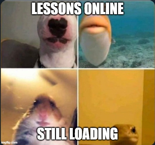 online classes | LESSONS ONLINE; STILL LOADING | image tagged in online classes | made w/ Imgflip meme maker