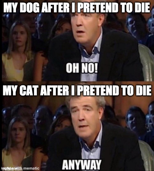 Pet after death | MY DOG AFTER I PRETEND TO DIE; MY CAT AFTER I PRETEND TO DIE | image tagged in oh no anyway,dog/cat,death-fake | made w/ Imgflip meme maker
