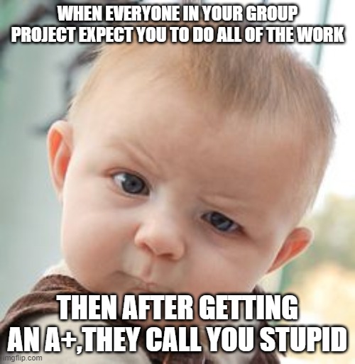Skeptical Baby | WHEN EVERYONE IN YOUR GROUP PROJECT EXPECT YOU TO DO ALL OF THE WORK; THEN AFTER GETTING AN A+,THEY CALL YOU STUPID | image tagged in memes,skeptical baby | made w/ Imgflip meme maker