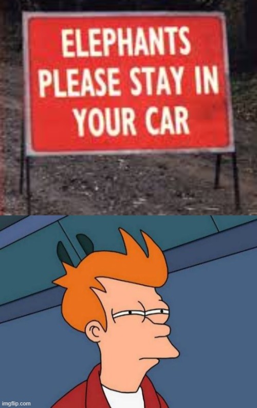 Elephants have cars? I guess you learn something new everyday! | image tagged in memes,futurama fry,funny,stupid signs | made w/ Imgflip meme maker