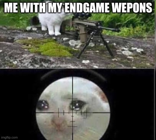 cat sniper | ME WITH MY ENDGAME WEPONS | image tagged in cat sniper | made w/ Imgflip meme maker