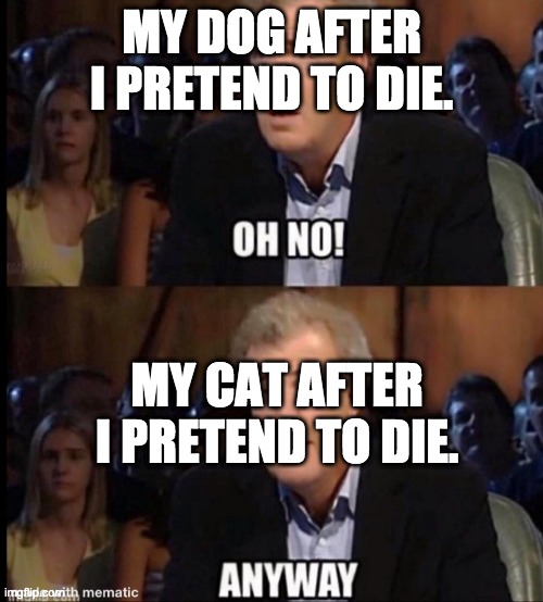 Pets after death | MY DOG AFTER I PRETEND TO DIE. MY CAT AFTER I PRETEND TO DIE. | image tagged in oh no anyway,dog/cat,death-fake | made w/ Imgflip meme maker