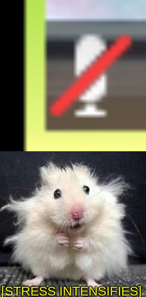 [STRESS INTENSIFIES] | image tagged in stressed mouse | made w/ Imgflip meme maker