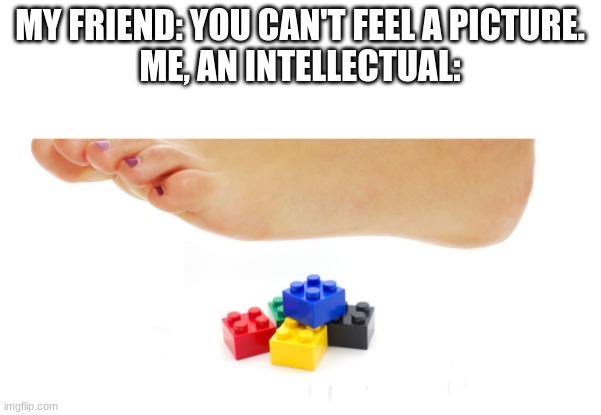 MY FRIEND: YOU CAN'T FEEL A PICTURE.
ME, AN INTELLECTUAL: | image tagged in legos,memes,funny | made w/ Imgflip meme maker