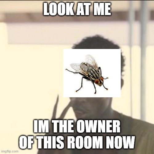 Oh lawd he commin | LOOK AT ME; IM THE OWNER OF THIS ROOM NOW | image tagged in memes,look at me | made w/ Imgflip meme maker