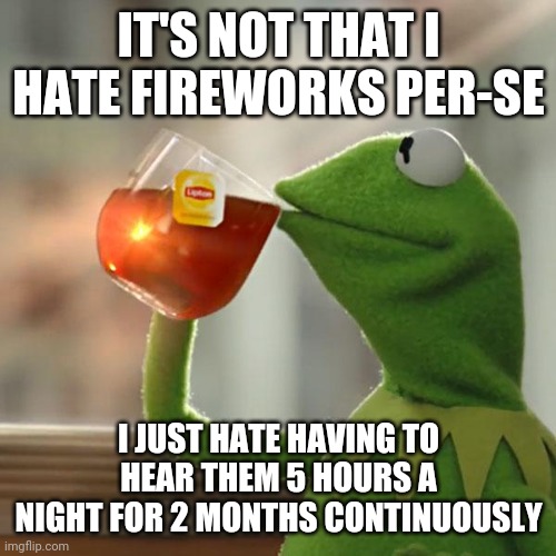 WheeeEEwwwW...Bang!..... WheEEEEew ..bang!... WheEEEe Etc etc | IT'S NOT THAT I HATE FIREWORKS PER-SE; I JUST HATE HAVING TO HEAR THEM 5 HOURS A NIGHT FOR 2 MONTHS CONTINUOUSLY | image tagged in memes,but that's none of my business,kermit the frog | made w/ Imgflip meme maker