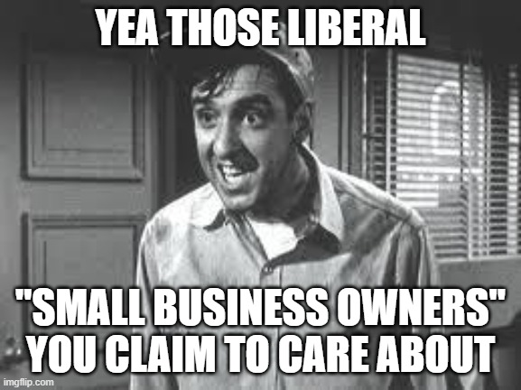 Gomer Pyle | YEA THOSE LIBERAL "SMALL BUSINESS OWNERS" YOU CLAIM TO CARE ABOUT | image tagged in gomer pyle | made w/ Imgflip meme maker