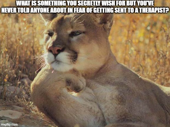 Thinking cat | WHAT IS SOMETHING YOU SECRETLY WISH FOR BUT YOU'VE NEVER TOLD ANYONE ABOUT IN FEAR OF GETTING SENT TO A THERAPIST? | image tagged in thinking cat | made w/ Imgflip meme maker