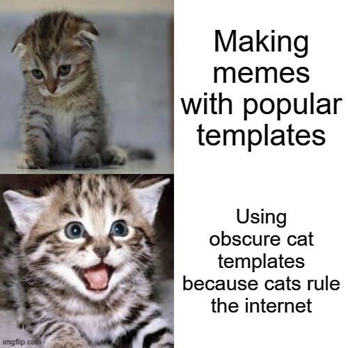 Sad Cat to Happy Cat | Making memes with popular templates; Using obscure cat templates because cats rule the internet | image tagged in sad cat to happy cat | made w/ Imgflip meme maker