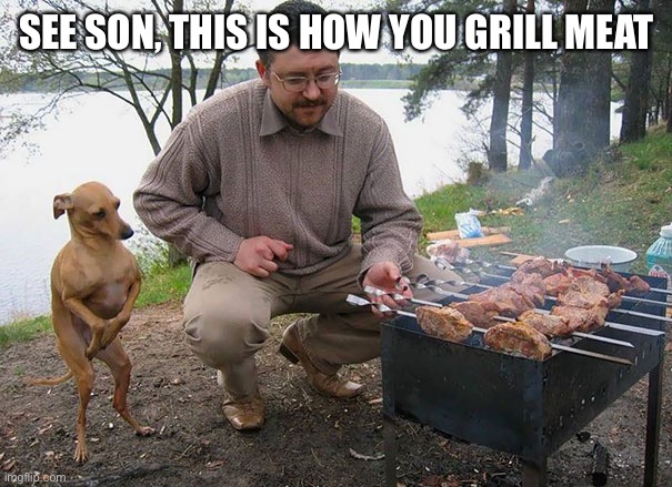 Hungry dog begging for food | SEE SON, THIS IS HOW YOU GRILL MEAT | image tagged in hungry dog begging for food | made w/ Imgflip meme maker