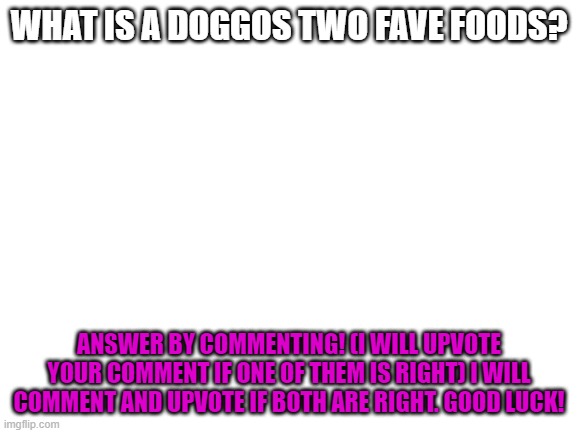 Blank White Template | WHAT IS A DOGGOS TWO FAVE FOODS? ANSWER BY COMMENTING! (I WILL UPVOTE YOUR COMMENT IF ONE OF THEM IS RIGHT) I WILL COMMENT AND UPVOTE IF BOTH ARE RIGHT. GOOD LUCK! | image tagged in blank white template | made w/ Imgflip meme maker