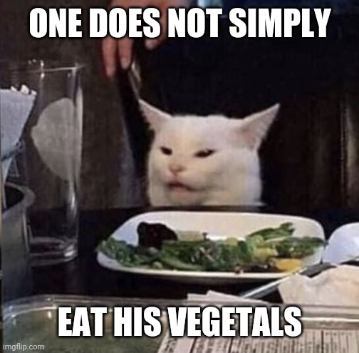 Cat yelled at | ONE DOES NOT SIMPLY EAT HIS VEGETALS | image tagged in cat yelled at | made w/ Imgflip meme maker