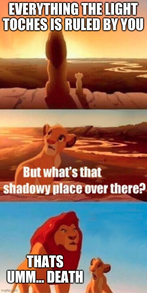 Simba Shadowy Place Meme | EVERYTHING THE LIGHT TOCHES IS RULED BY YOU; THATS UMM... DEATH | image tagged in memes,simba shadowy place | made w/ Imgflip meme maker