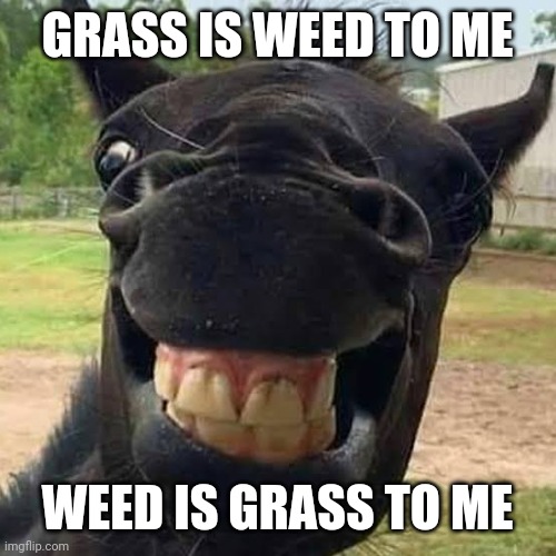 GRASS IS WEED TO ME WEED IS GRASS TO ME | made w/ Imgflip meme maker