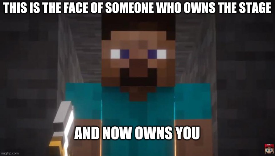 Steve is our new Smash Overlord | THIS IS THE FACE OF SOMEONE WHO OWNS THE STAGE; AND NOW OWNS YOU | image tagged in minecraft steve,super smash bros | made w/ Imgflip meme maker