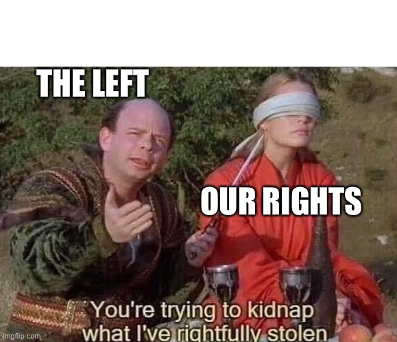 You're trying to kidnap what I've rightfully stolen | THE LEFT OUR RIGHTS | image tagged in you're trying to kidnap what i've rightfully stolen | made w/ Imgflip meme maker