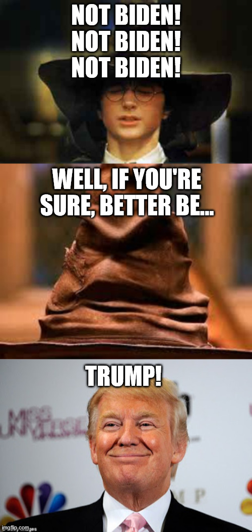 Trump's not perfect - but he's perfect for draining the pedo/ Epstein/Clinton/ Ukraine/ China/ Obamagate swamp Dems are blind to | NOT BIDEN!
 NOT BIDEN! 
 NOT BIDEN! WELL, IF YOU'RE SURE, BETTER BE... TRUMP! | image tagged in harry potter sorting hat,donald trump approves,election 2020,donald trump,joe biden,hunter biden laptop | made w/ Imgflip meme maker