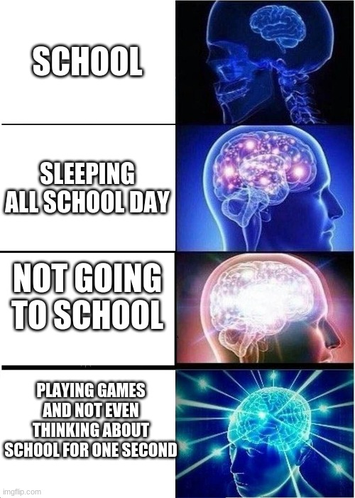 school just makes you dumber | SCHOOL; SLEEPING ALL SCHOOL DAY; NOT GOING TO SCHOOL; PLAYING GAMES AND NOT EVEN THINKING ABOUT SCHOOL FOR ONE SECOND | image tagged in memes,expanding brain | made w/ Imgflip meme maker