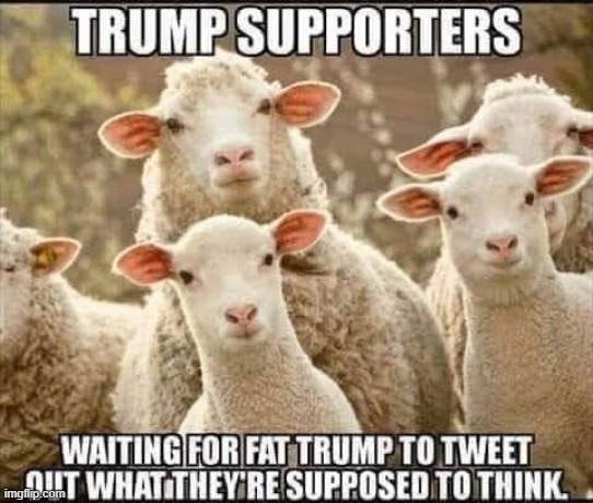 Trump Supporters - Have to be told what and how to think | image tagged in donald trump,trump supporters,republicans,sheep,sheeple,election 2020 | made w/ Imgflip meme maker