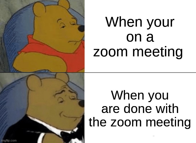 Tuxedo Winnie The Pooh | When your on a zoom meeting; When you are done with the zoom meeting | image tagged in memes,tuxedo winnie the pooh | made w/ Imgflip meme maker