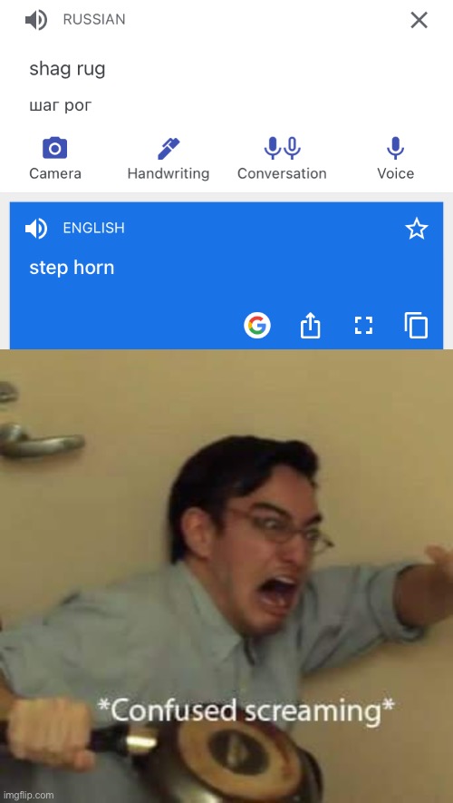 Shag rug | image tagged in filthy frank confused scream | made w/ Imgflip meme maker