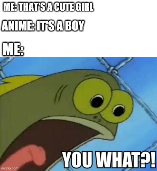 YOU WHAT! | ME: THAT'S A CUTE GIRL; ANIME: IT'S A BOY; ME: | image tagged in you what | made w/ Imgflip meme maker