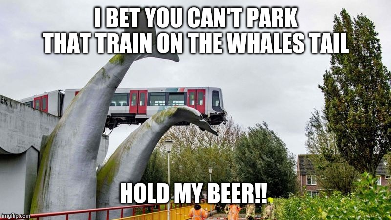 Whale Tail Park | I BET YOU CAN'T PARK THAT TRAIN ON THE WHALES TAIL; HOLD MY BEER!! | image tagged in whale,train,parking,secure parking,sculpture,bad drivers | made w/ Imgflip meme maker