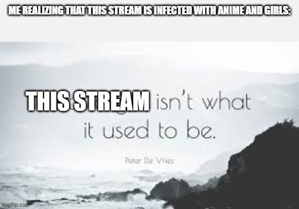 NNN: No Nonsense Noticeable | ME REALIZING THAT THIS STREAM IS INFECTED WITH ANIME AND GIRLS:; THIS STREAM | made w/ Imgflip meme maker