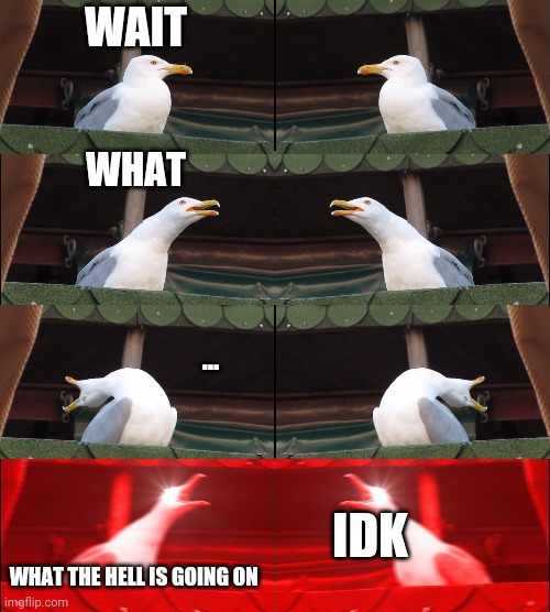 Uhhhhh | WAIT; WHAT; ... IDK; WHAT THE HELL IS GOING ON | image tagged in memes,inhaling seagull,double | made w/ Imgflip meme maker