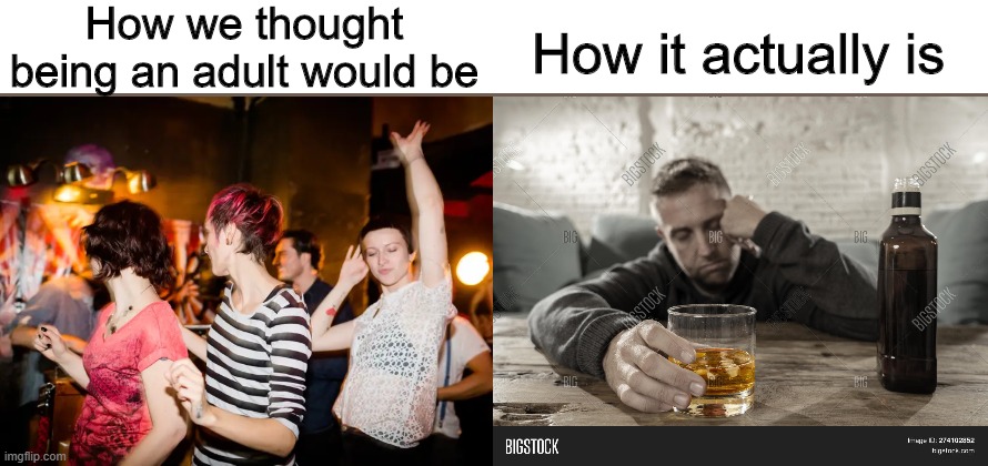 Party all day, cry all night | How we thought being an adult would be; How it actually is | image tagged in memes,funny,adult,party,sad | made w/ Imgflip meme maker
