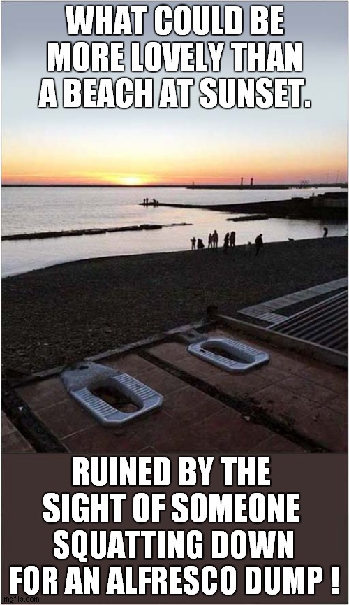 Holiday Location ? | WHAT COULD BE MORE LOVELY THAN A BEACH AT SUNSET. RUINED BY THE SIGHT OF SOMEONE; SQUATTING DOWN FOR AN ALFRESCO DUMP ! | image tagged in beach,sunset,toilets | made w/ Imgflip meme maker