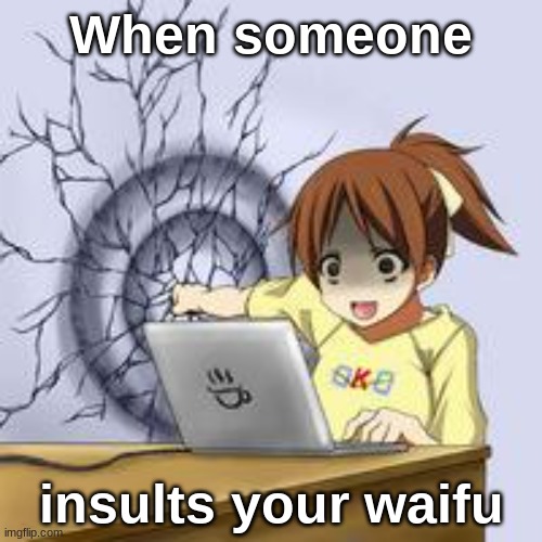 Anime wall punch | When someone; insults your waifu | image tagged in anime wall punch | made w/ Imgflip meme maker