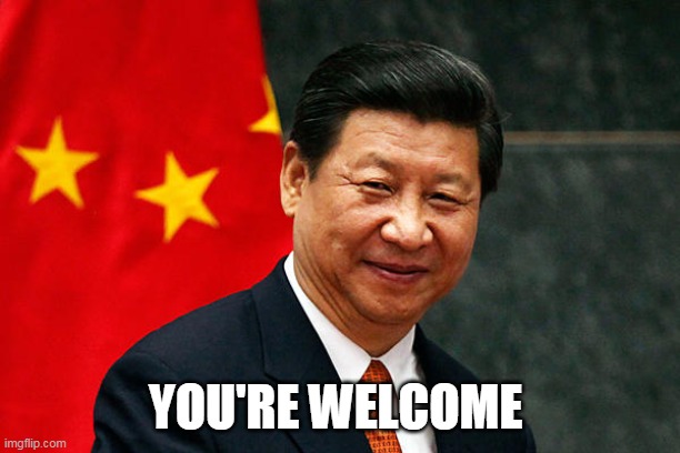 Xi Jinping | YOU'RE WELCOME | image tagged in xi jinping | made w/ Imgflip meme maker