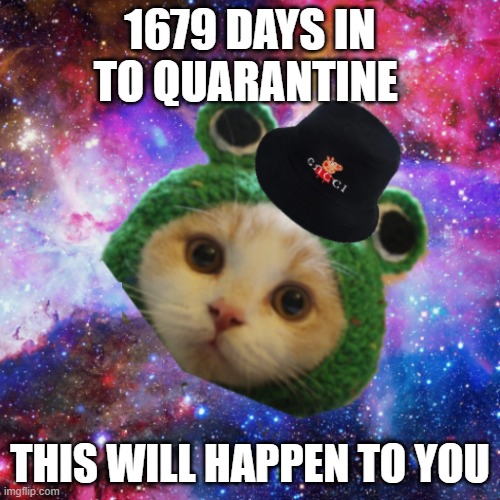 this will happen to you | 1679 DAYS IN TO QUARANTINE; THIS WILL HAPPEN TO YOU | image tagged in funny cat memes | made w/ Imgflip meme maker
