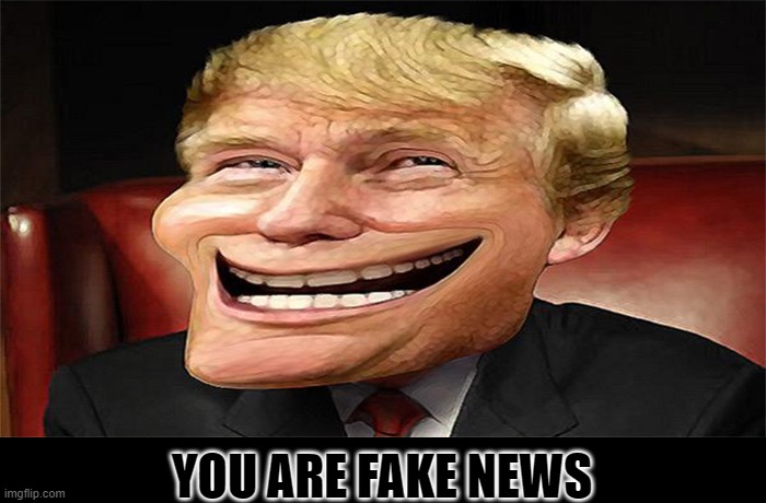 trump troll face | YOU ARE FAKE NEWS | image tagged in trump troll face | made w/ Imgflip meme maker